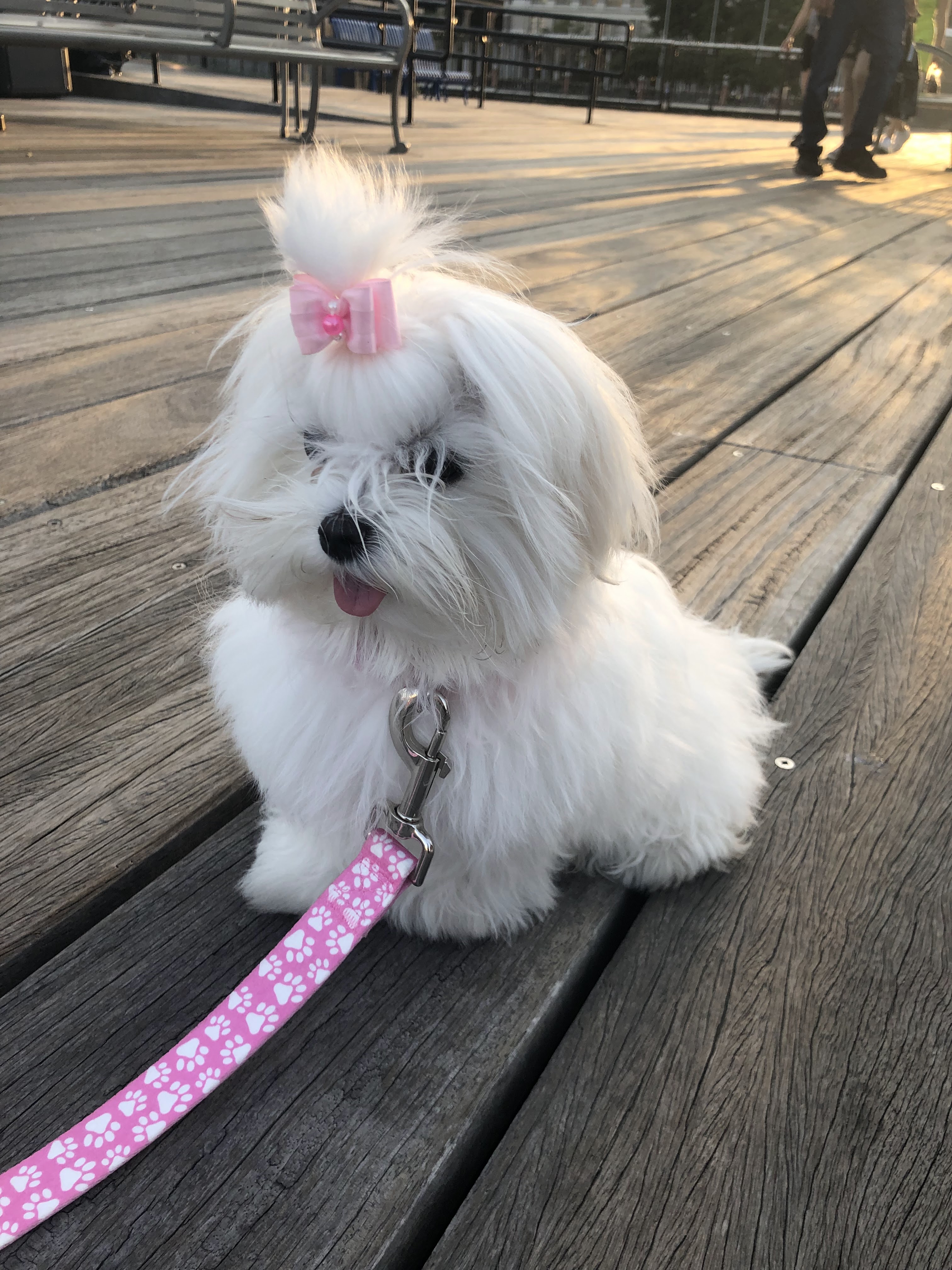 This image has an empty alt attribute; its file name is img_3417.heic